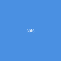 cats