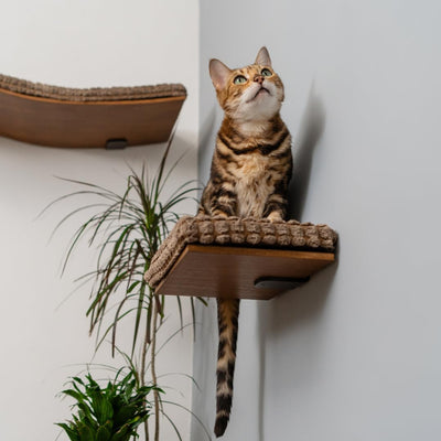 Cat Wall Shelf – Brown Wall-Mounted Cat Steps & Cozy Bed by MeowMarket