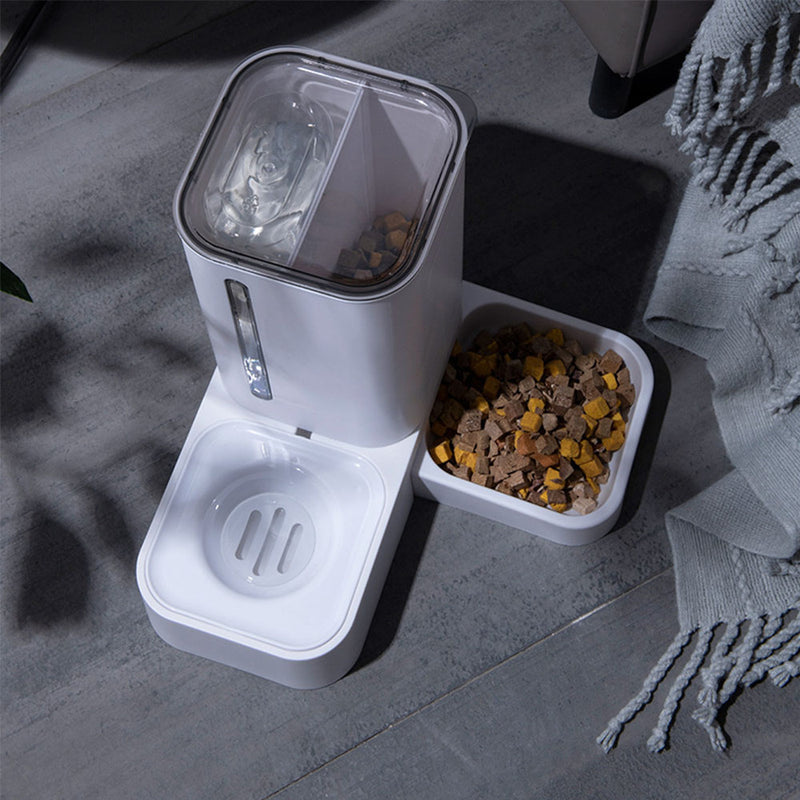 Cat Automatic Feeder by My Store 2