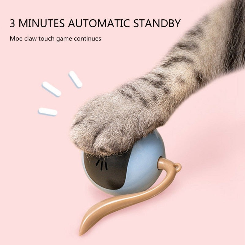 Automatic Self Rotating Cat Toy by My Store 2
