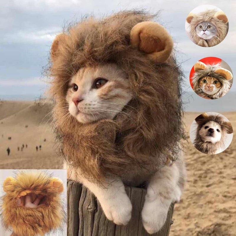Lion Mane Cat Costume by My Store 2