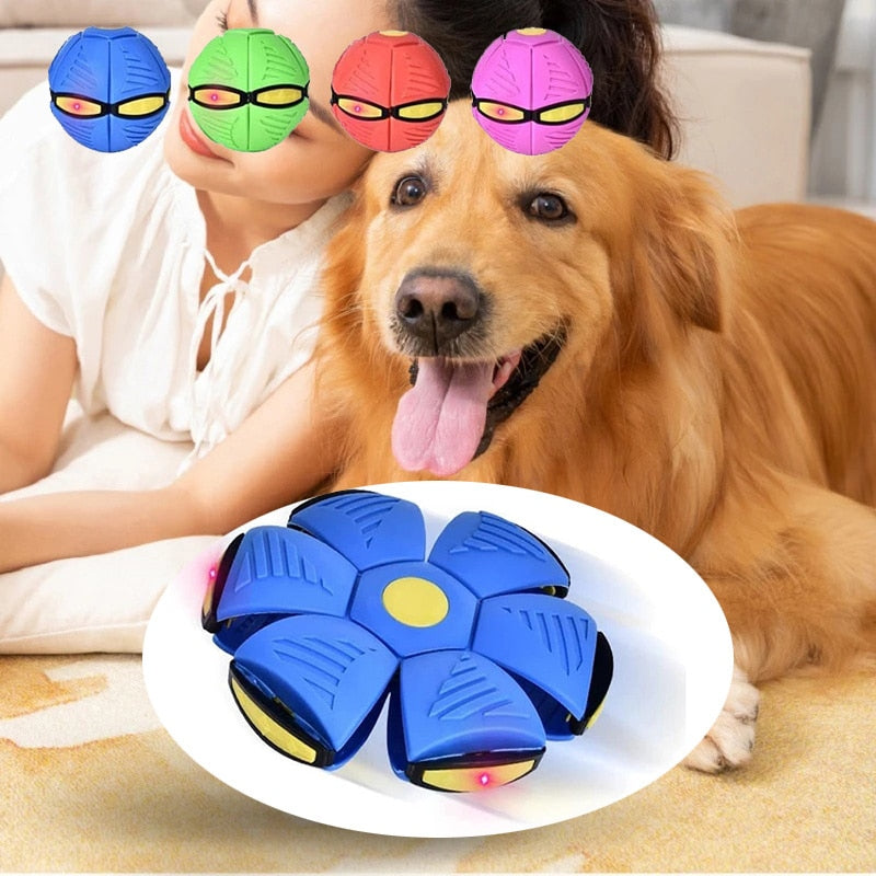 Pets Magic UFO Ball by My Store 2