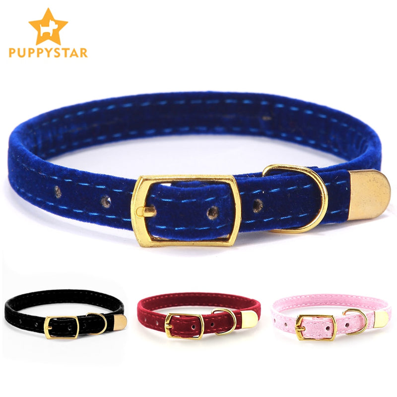 Collar For Small Cats & Dogs by My Store 2