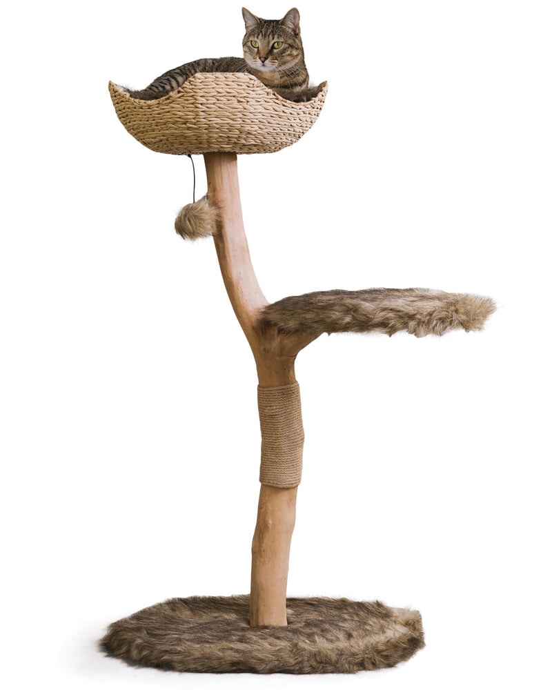 Wooden Cat Tree – Modern Cat Condo & Climbing Furniture by MeowMarket