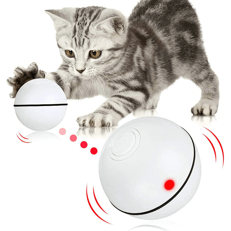 Smart Interactive Pet Ball by My Store 2