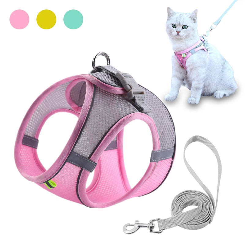Small Pet Harness Leash Set – Escape Proof Walking Set by My Store 2