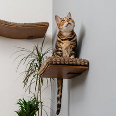 Kitsune Garden Cat Step Cat Wall Furniture Wall Mounted Shelf Cat Wall Shelf Cat Shelves Cat Bed Cat Shelf Cat Steps for Wall Brown (Step)