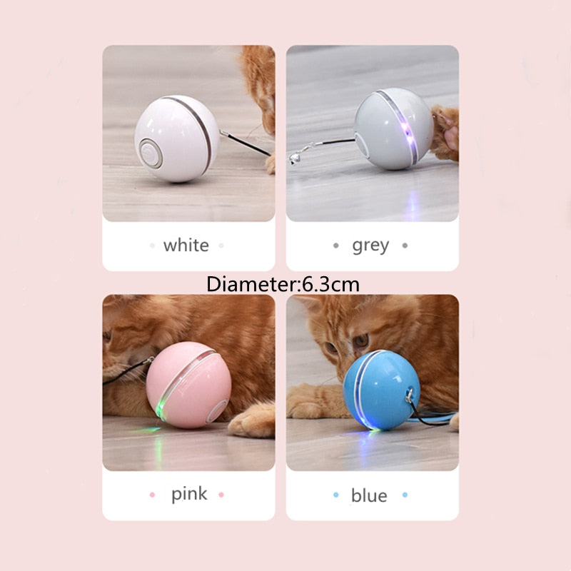 lED Colorful Cat Toy – Interactive Light-Up Toy for Indoor Cats by My Store 2