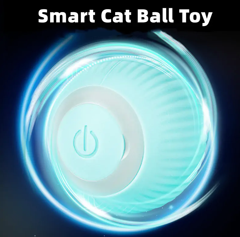 Smart Cat Ball Toys by My Store 2